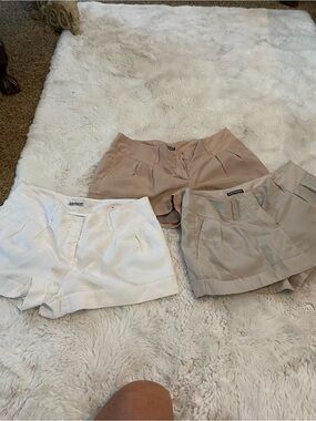 Express Women’s Shorts Trio - White, Beige, Taupe
